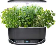 Top 10 Best Herb Gardens 2026