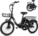 Top 10 Best Tricycles 2026